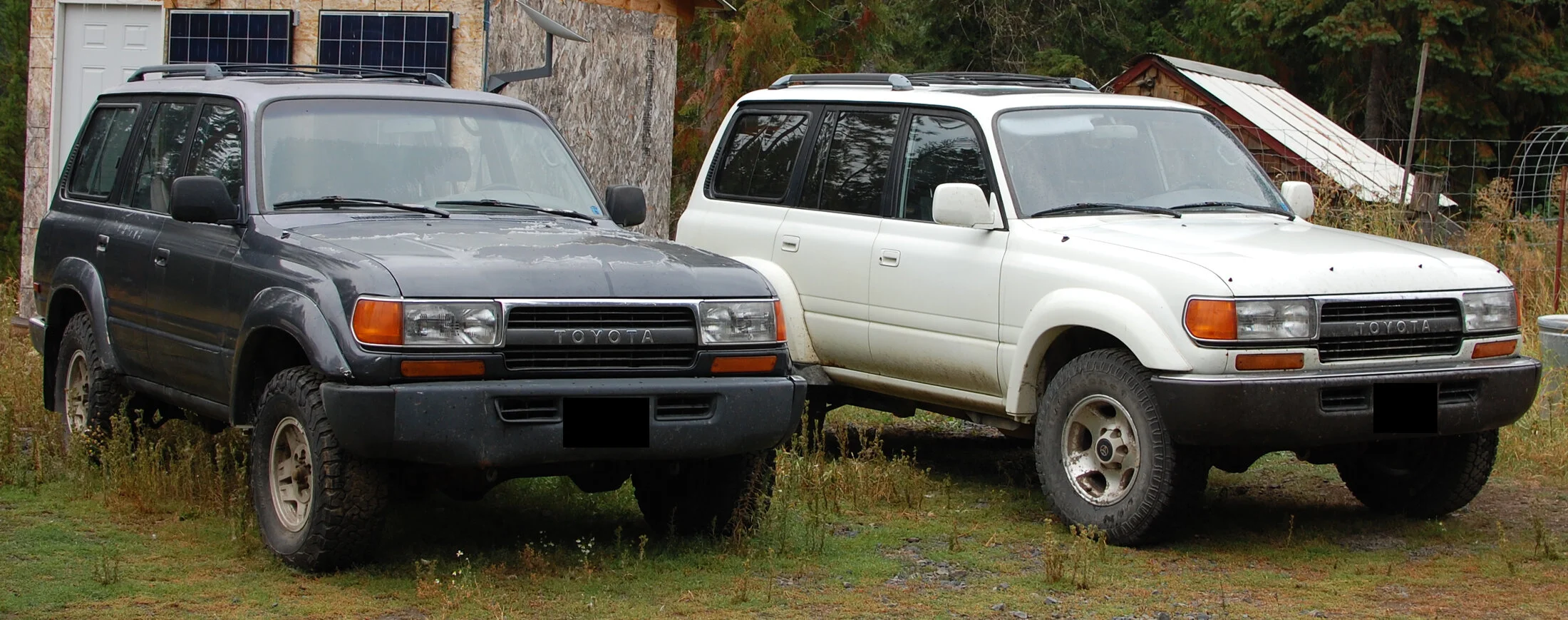 landcruisers.webp