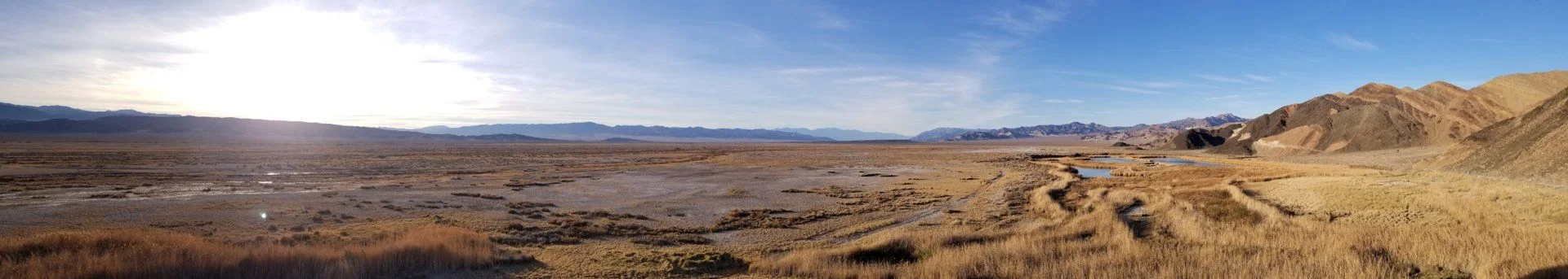 landscape2.webp