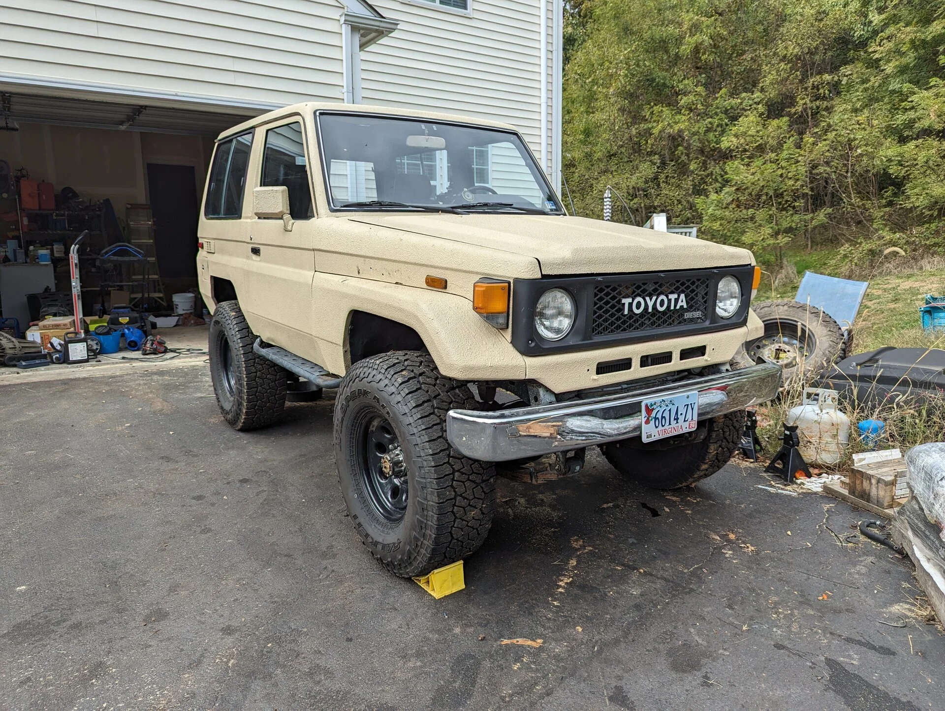 landy.webp