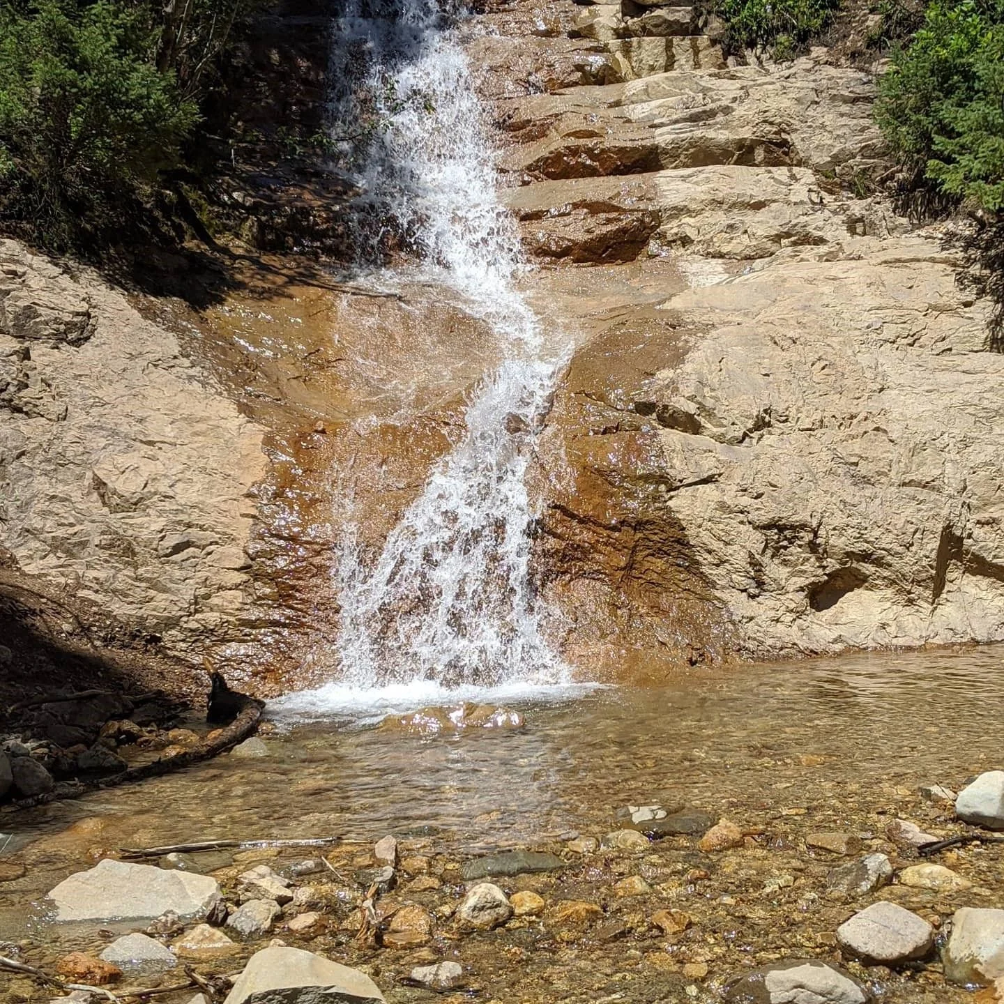 LaPlata Canyon 2.webp