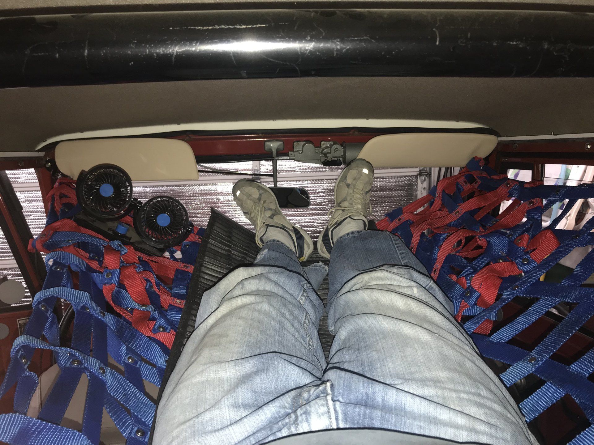 laying_in_web.jpeg