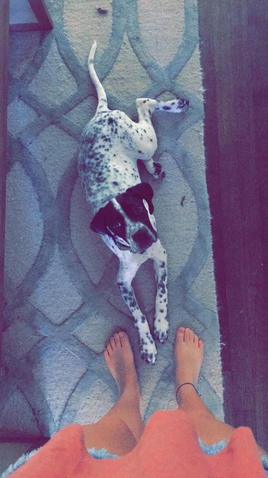 layla laying down.webp