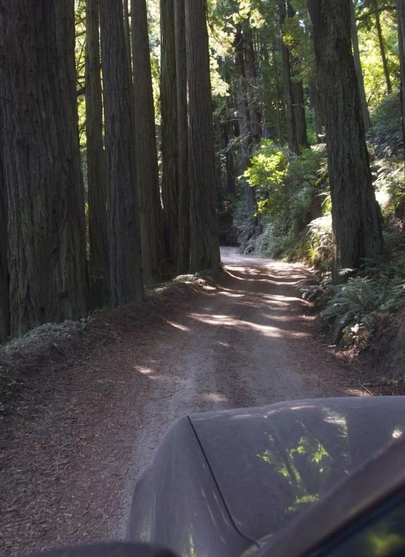 LC and CC trail.webp