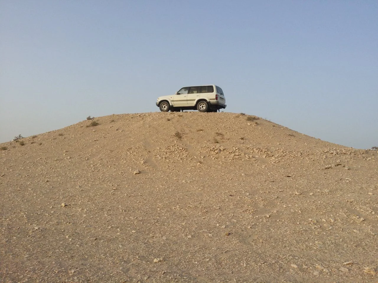 LC desert.webp