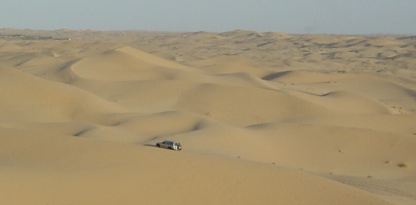 LC Dune 3.jpg