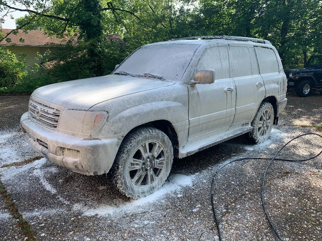 LC Foam 2022.webp