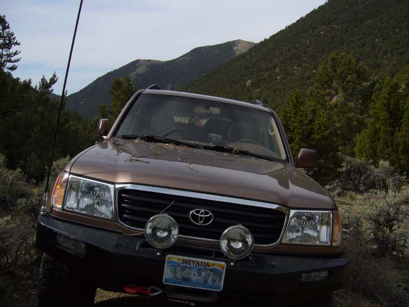 LC pic1.jpg