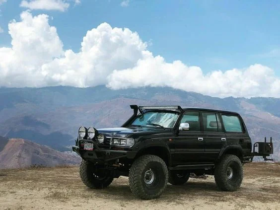 LC rims.webp