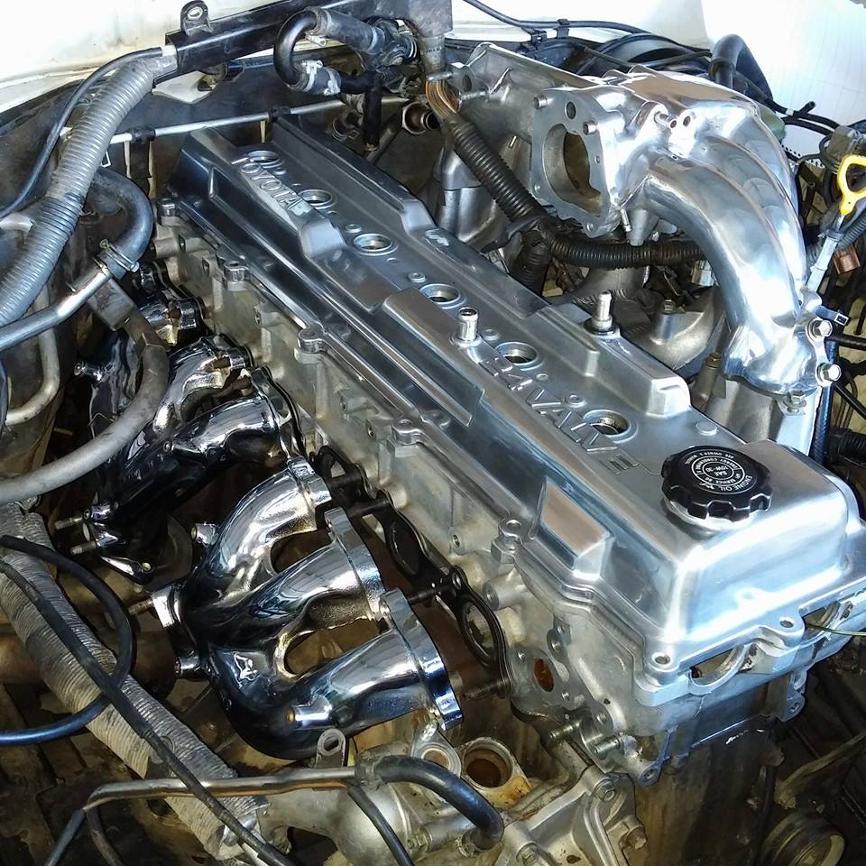 lc shiny.jpg