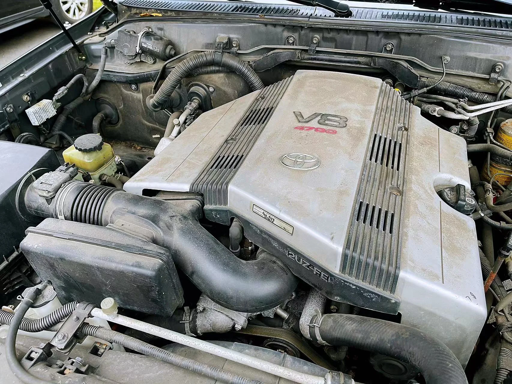 LC100_14.jpg