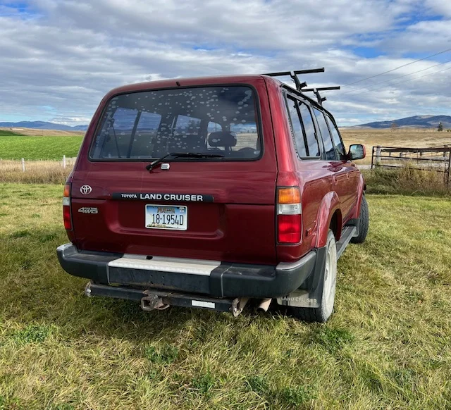 LD rear.webp