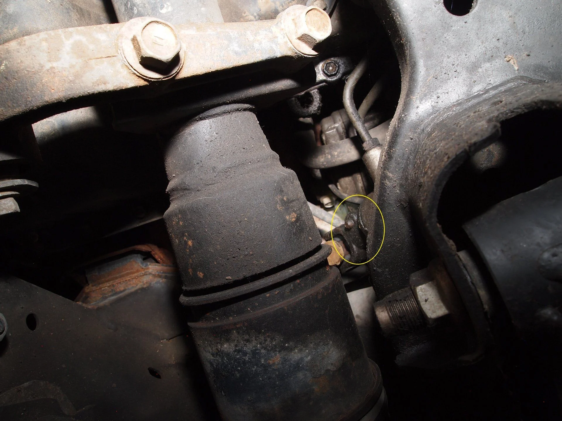 Leak power steering (2).webp