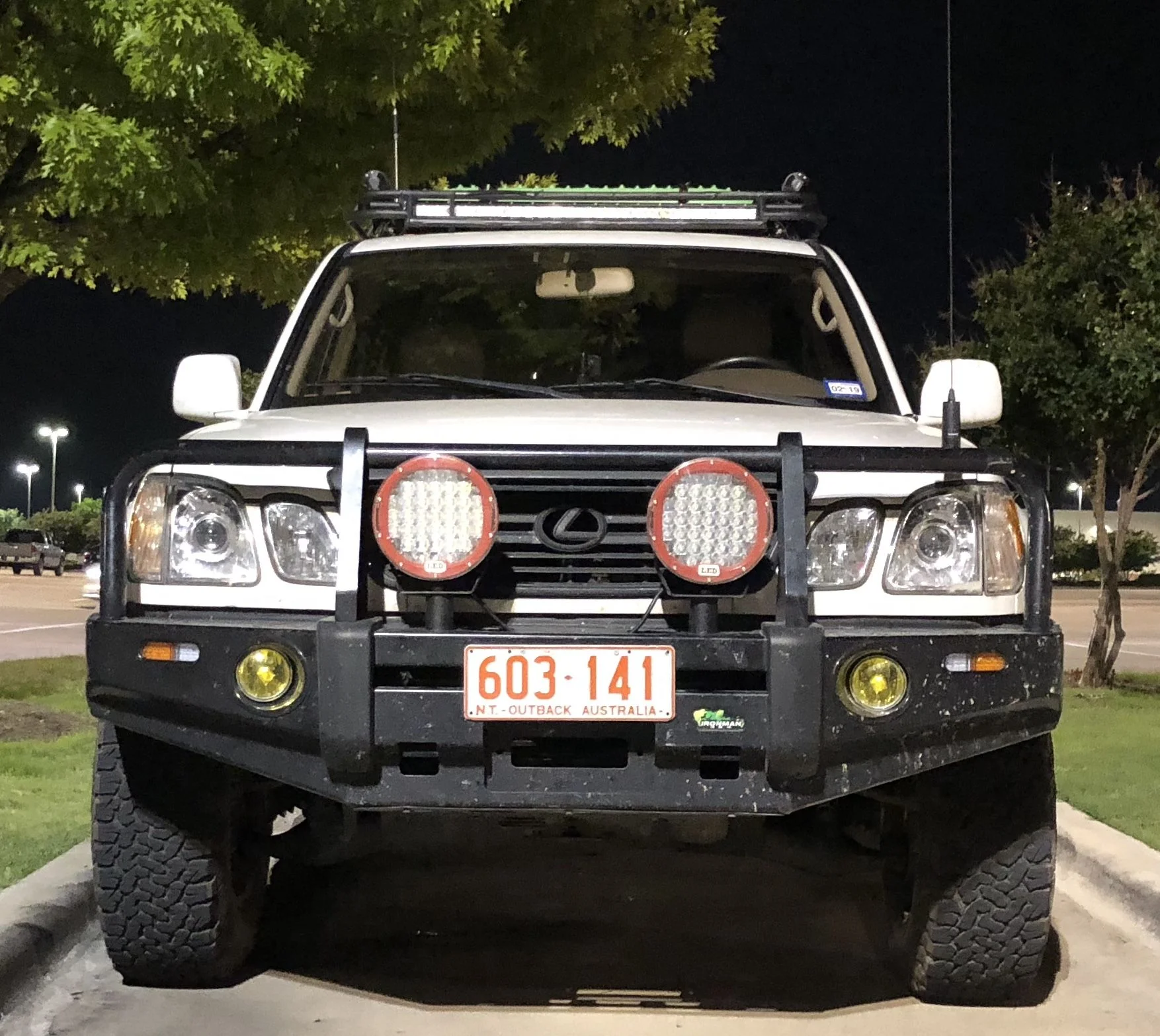 LED Light Posts.JPG