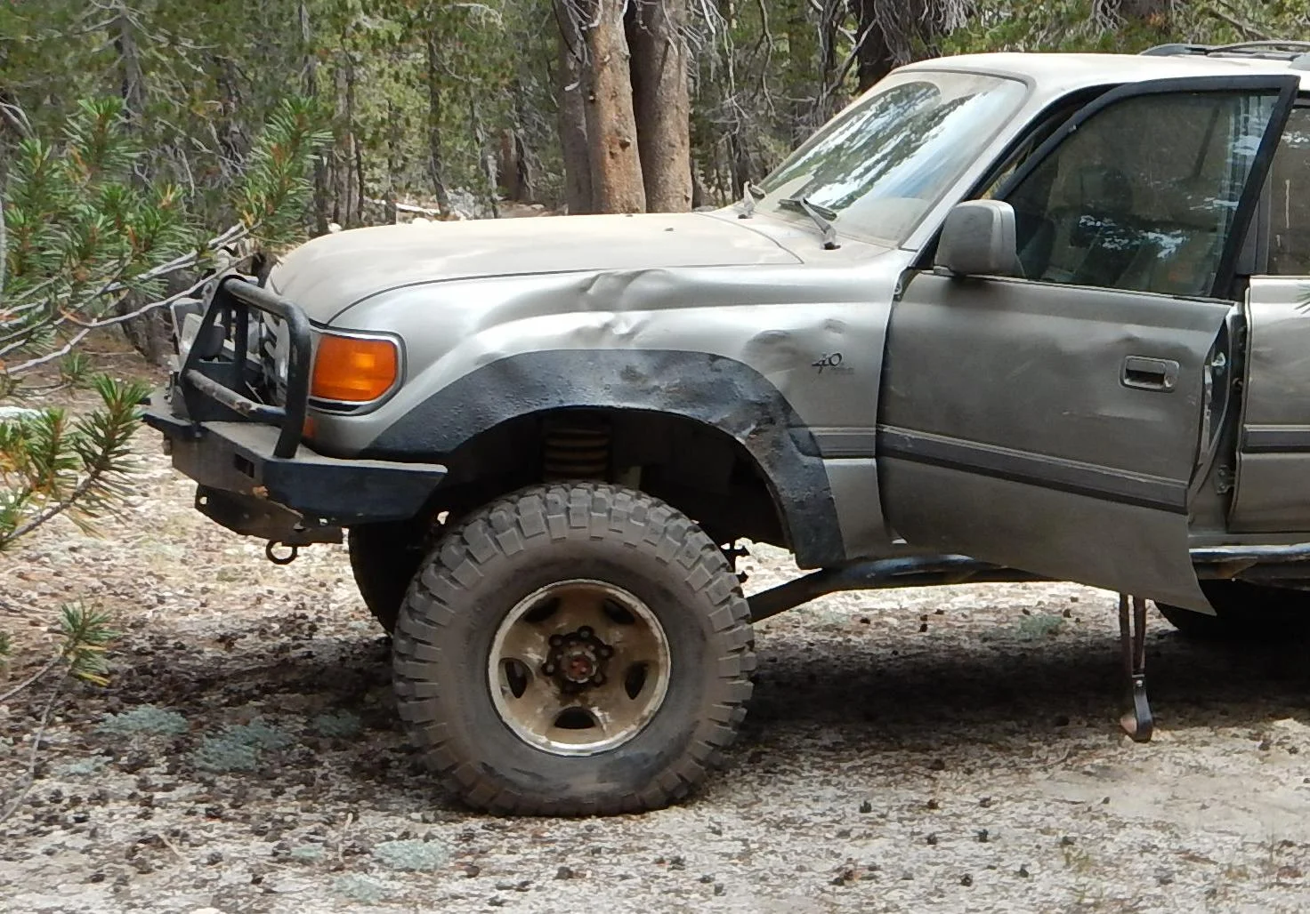 left-front-fender.JPG