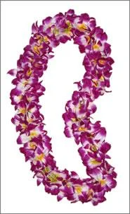 lei.webp