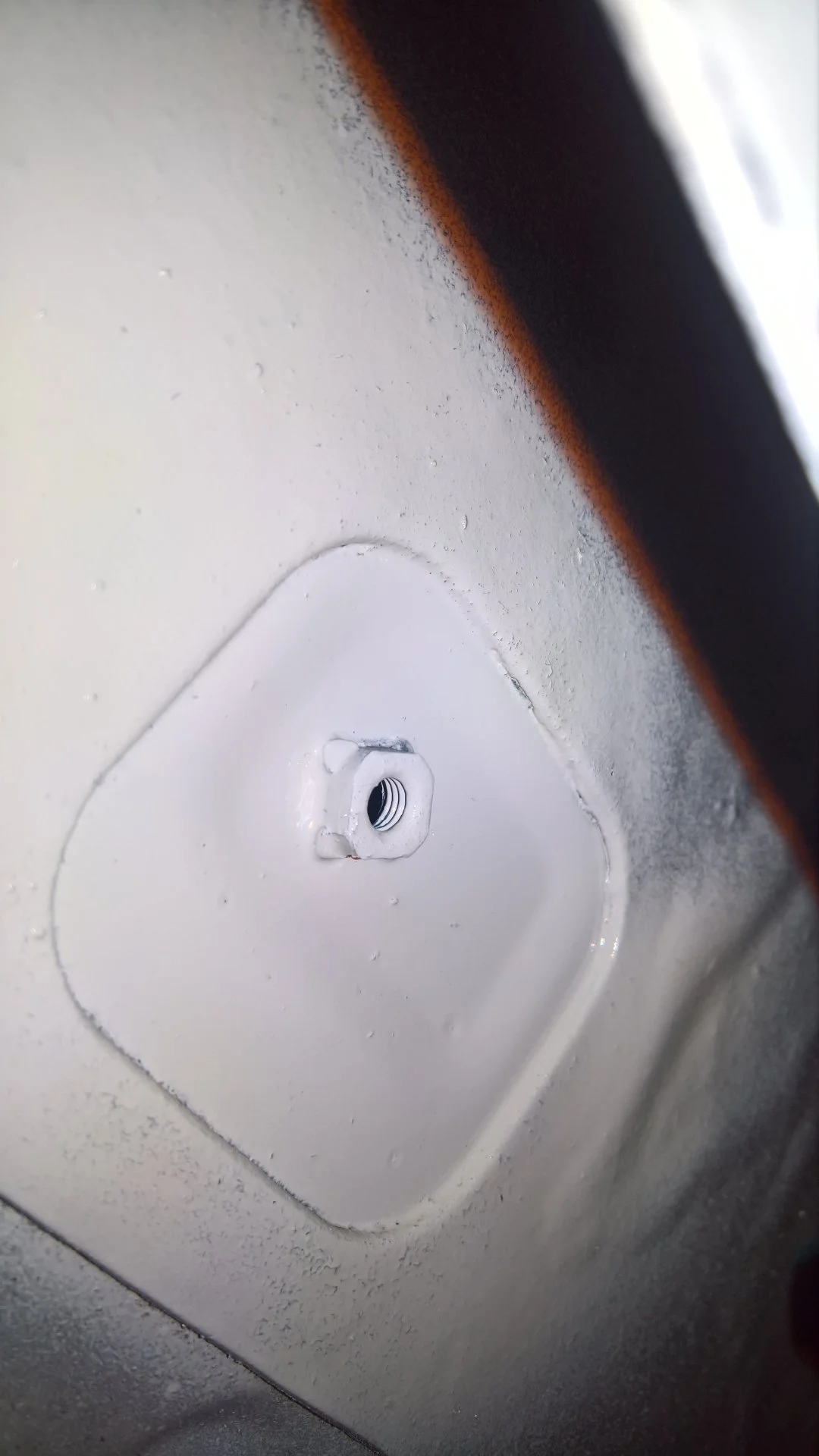 License plate painted nut.webp