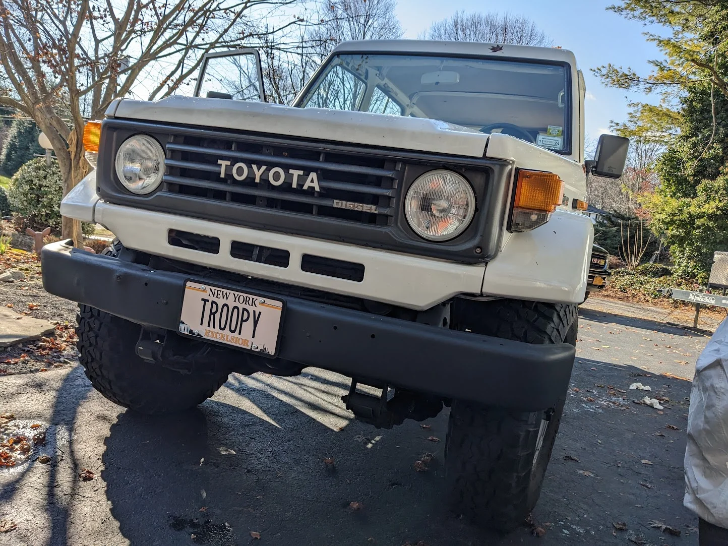 License Plate.webp