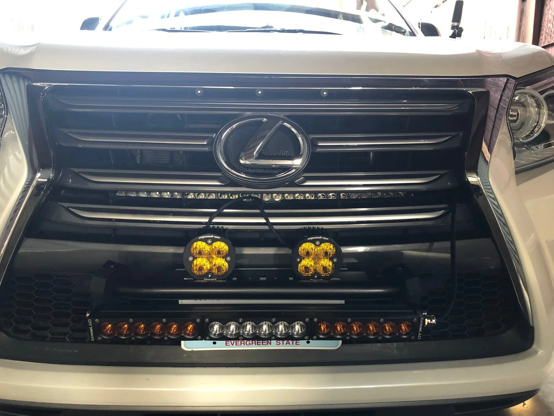 lights12.webp