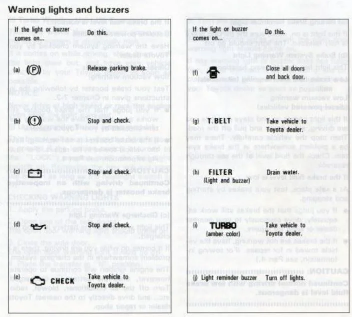 lights2.webp