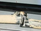 Linkcloseup.webp