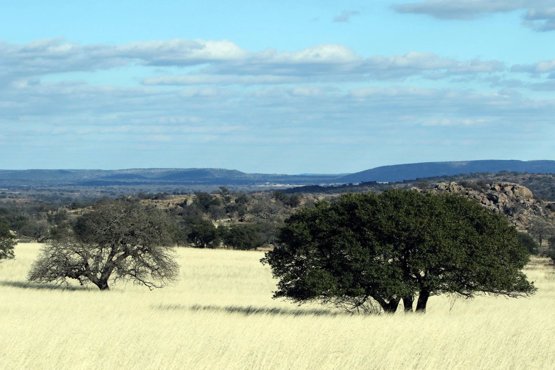 LLANO19011 (114).webp