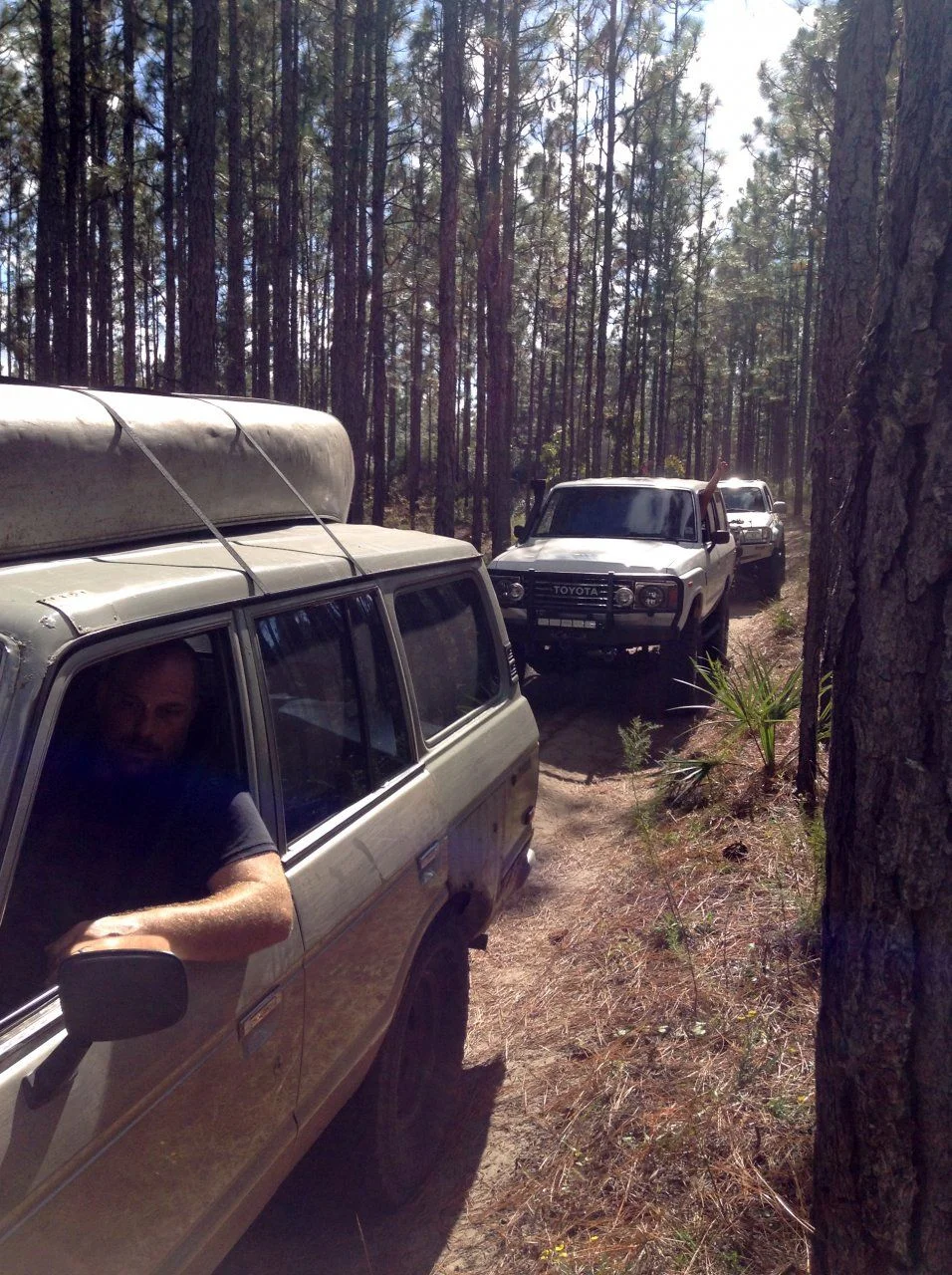 Long Leaf Caravan.webp