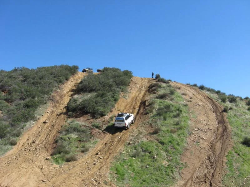 lookout0005.webp