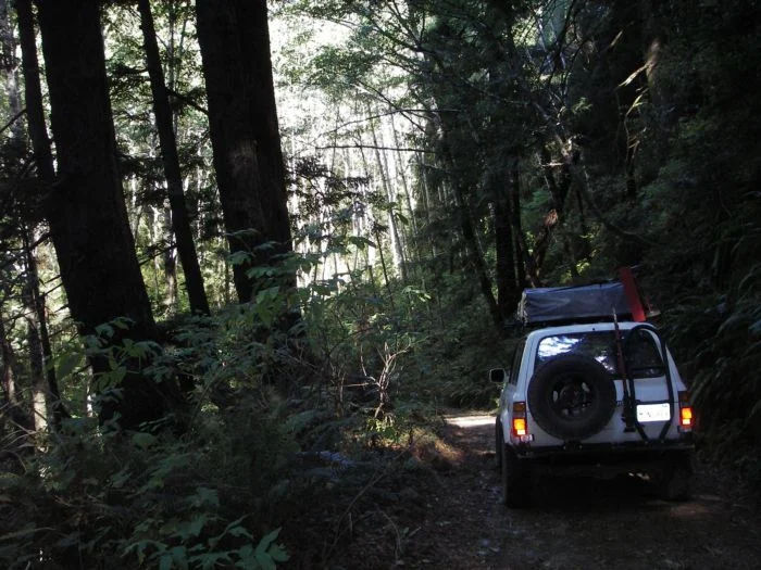Lost Coast12.webp