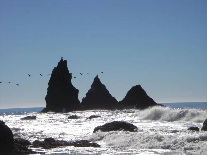 Lost Coast2.webp