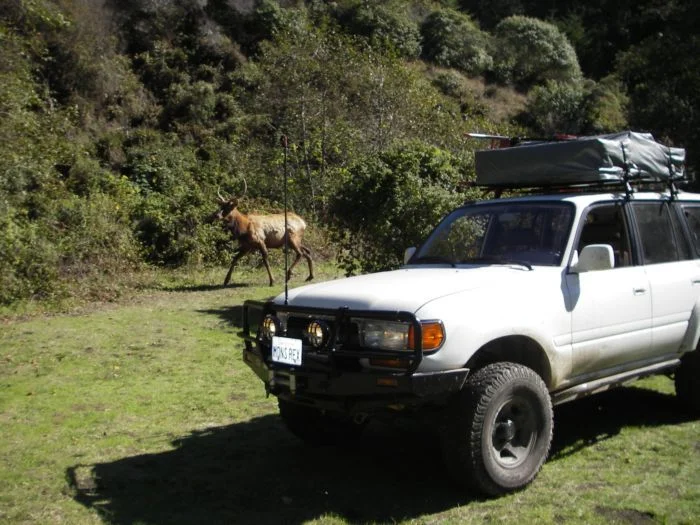 Lost Coast3.webp