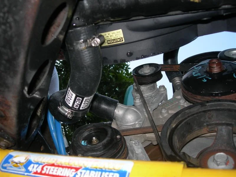 lower hose (Medium).webp
