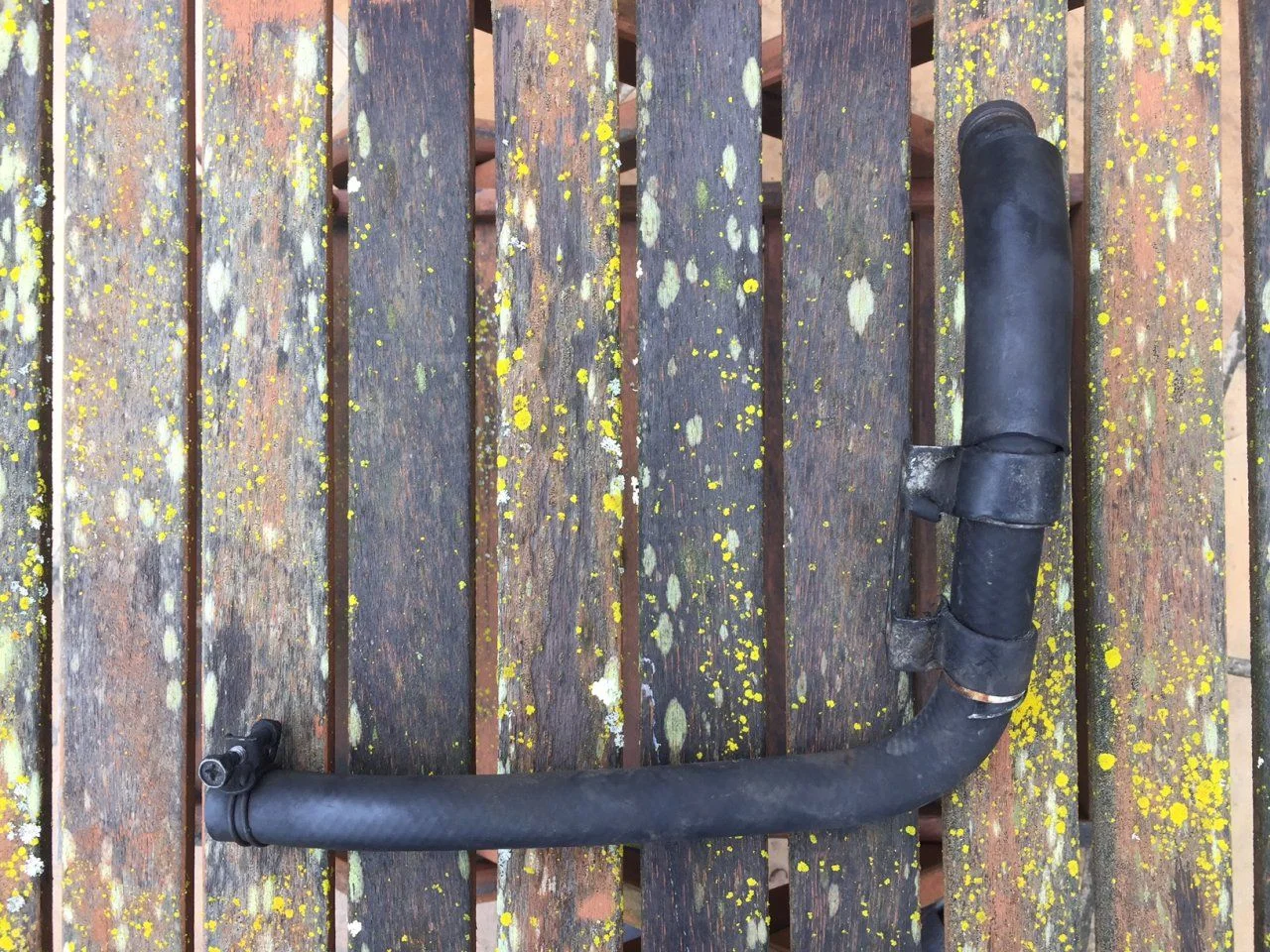 Lower oil cooler hose.webp