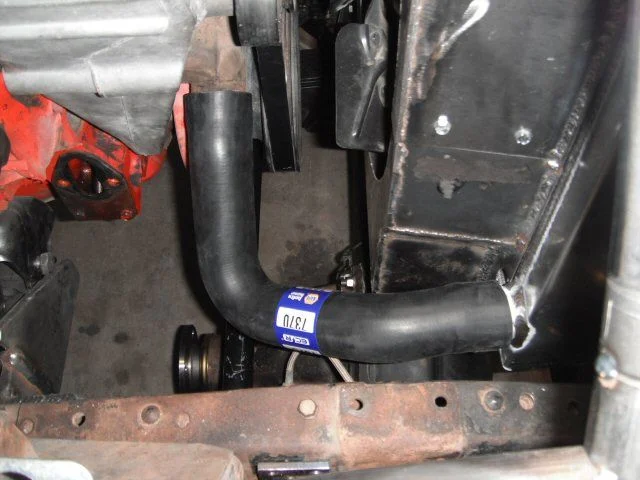 lowerhose2.webp