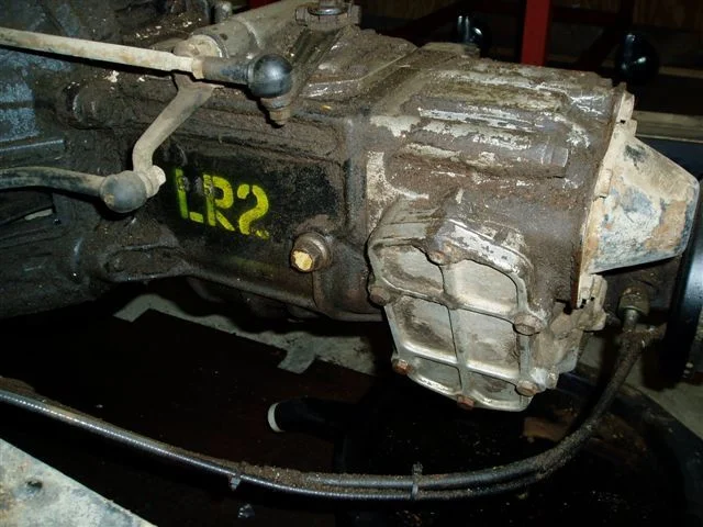 LR2.webp
