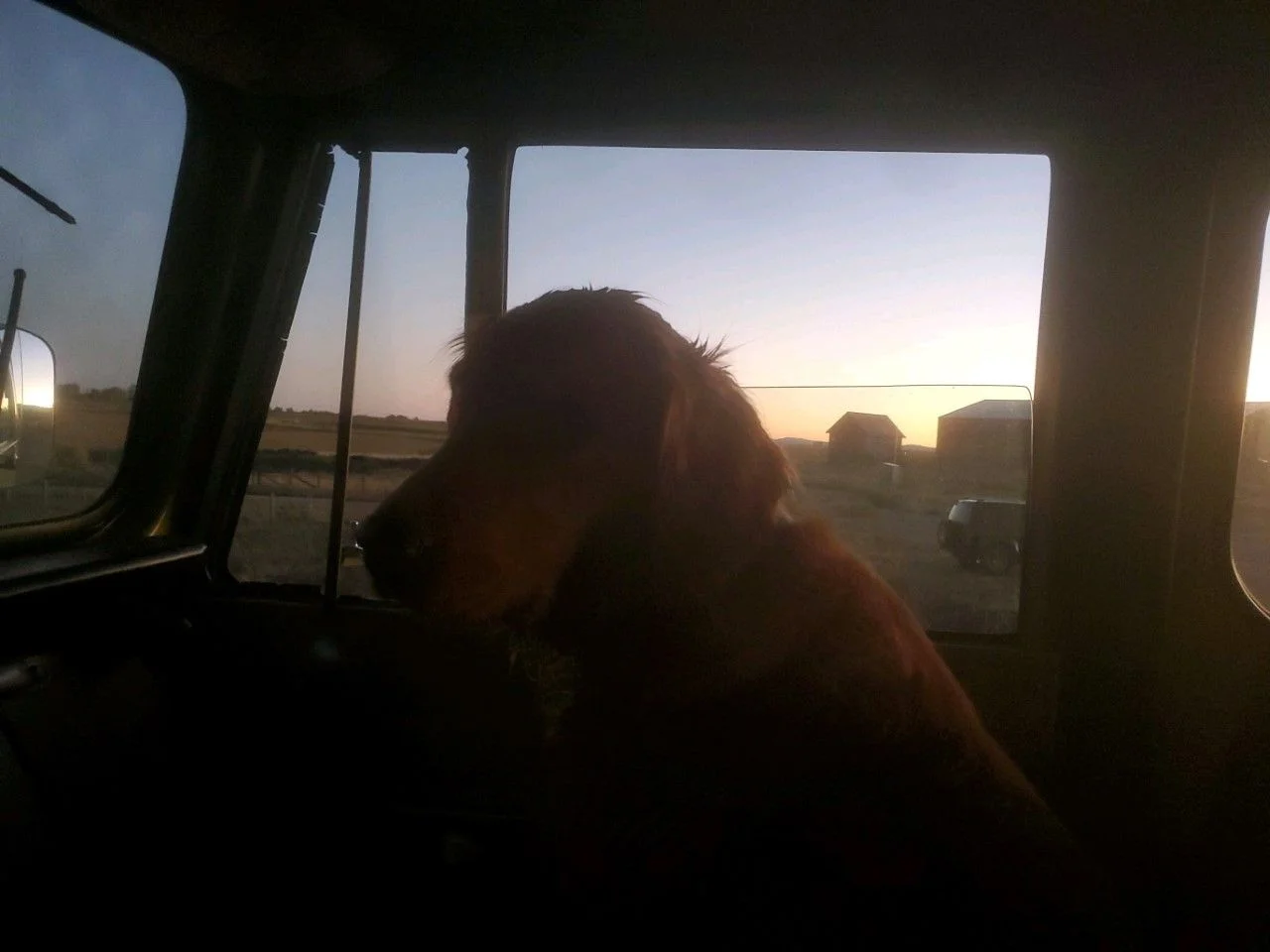 Lucy in the 40.webp
