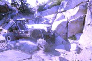 lunghi55.webp