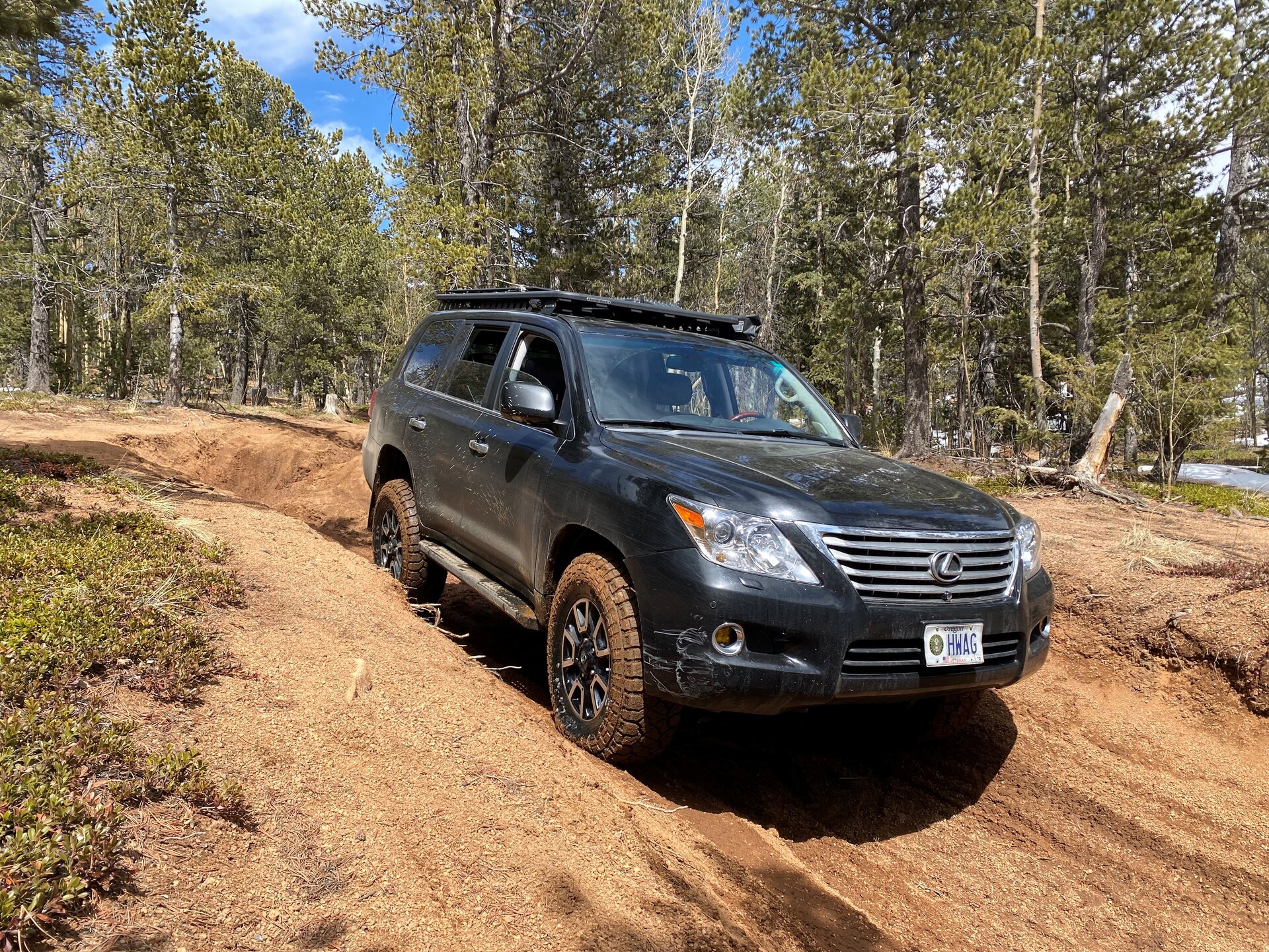 LX06.jpg