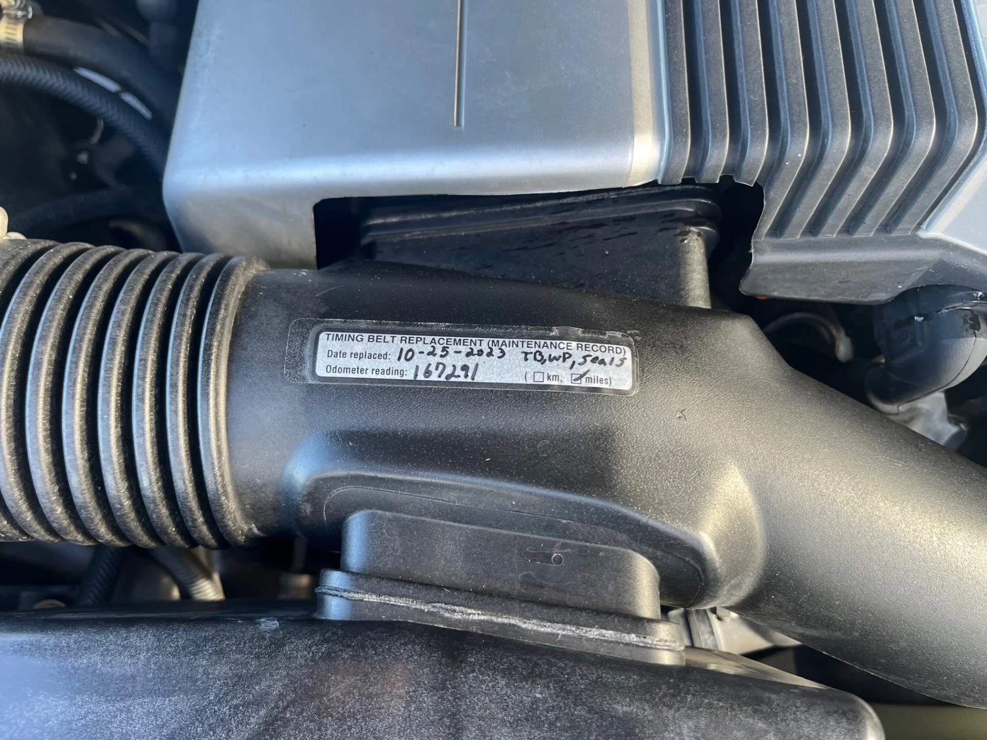 LX470 Timing Belt.webp