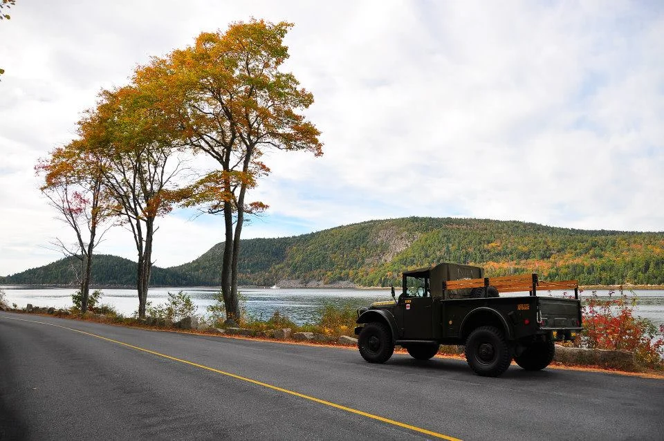 M37 Fall.webp