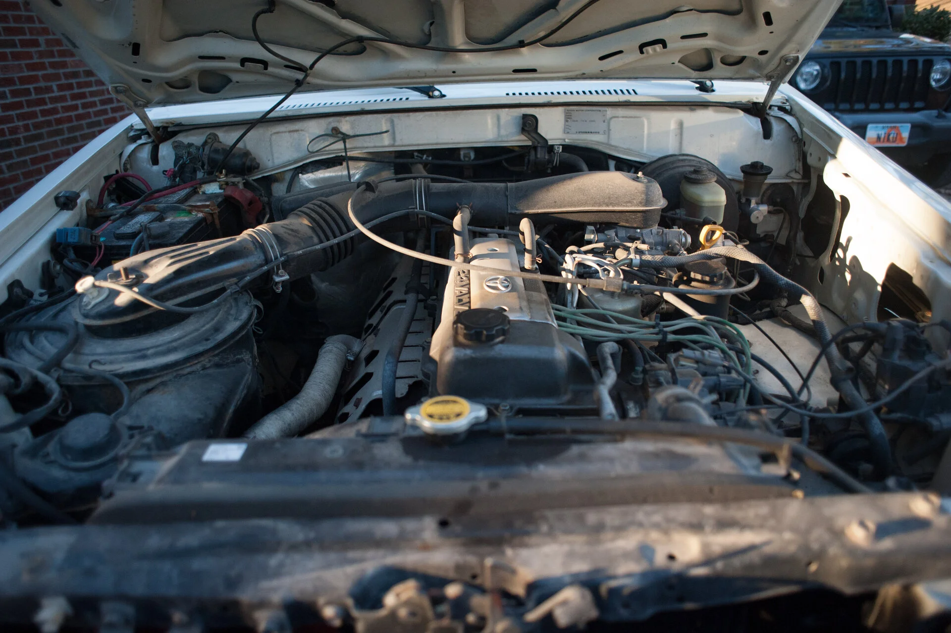 MA7_1186.webp