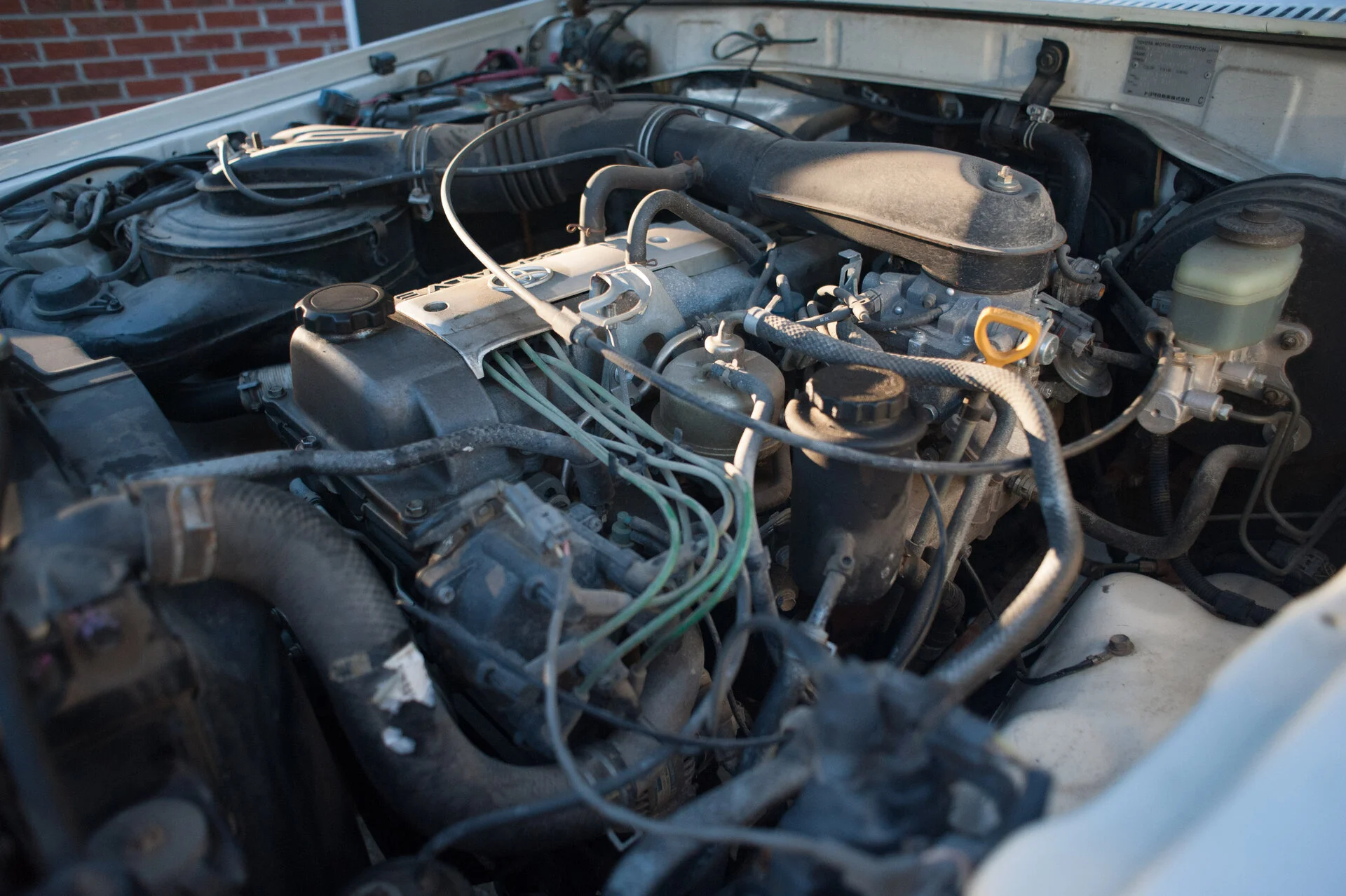MA7_1188.webp