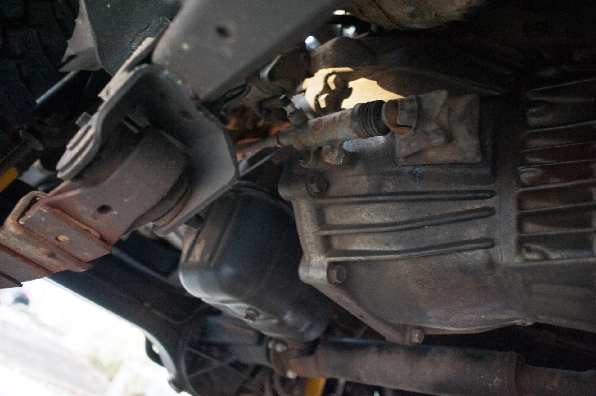 MA7_1196.webp