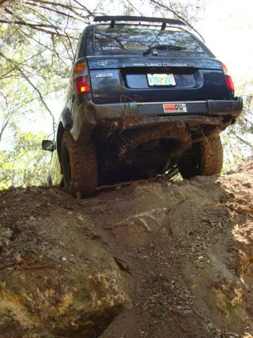 made it out of the bowl.webp