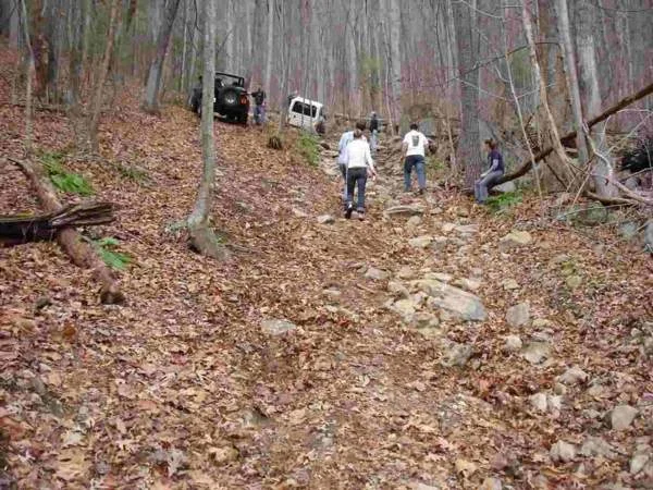 MadHill2.jpg