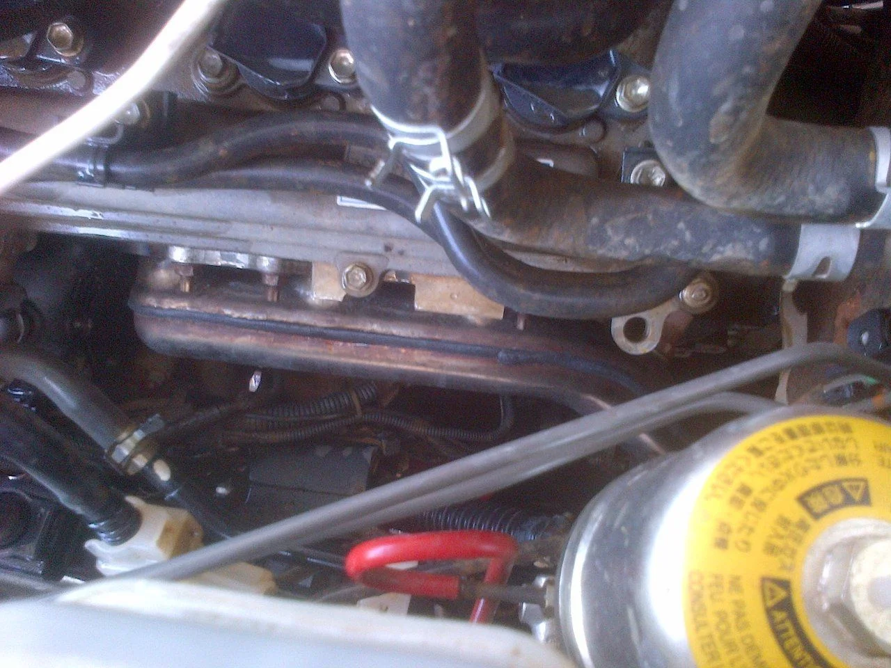 Manifolds&Cats (14).webp