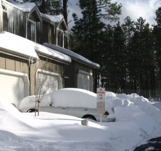 March 12 -- Snow.webp