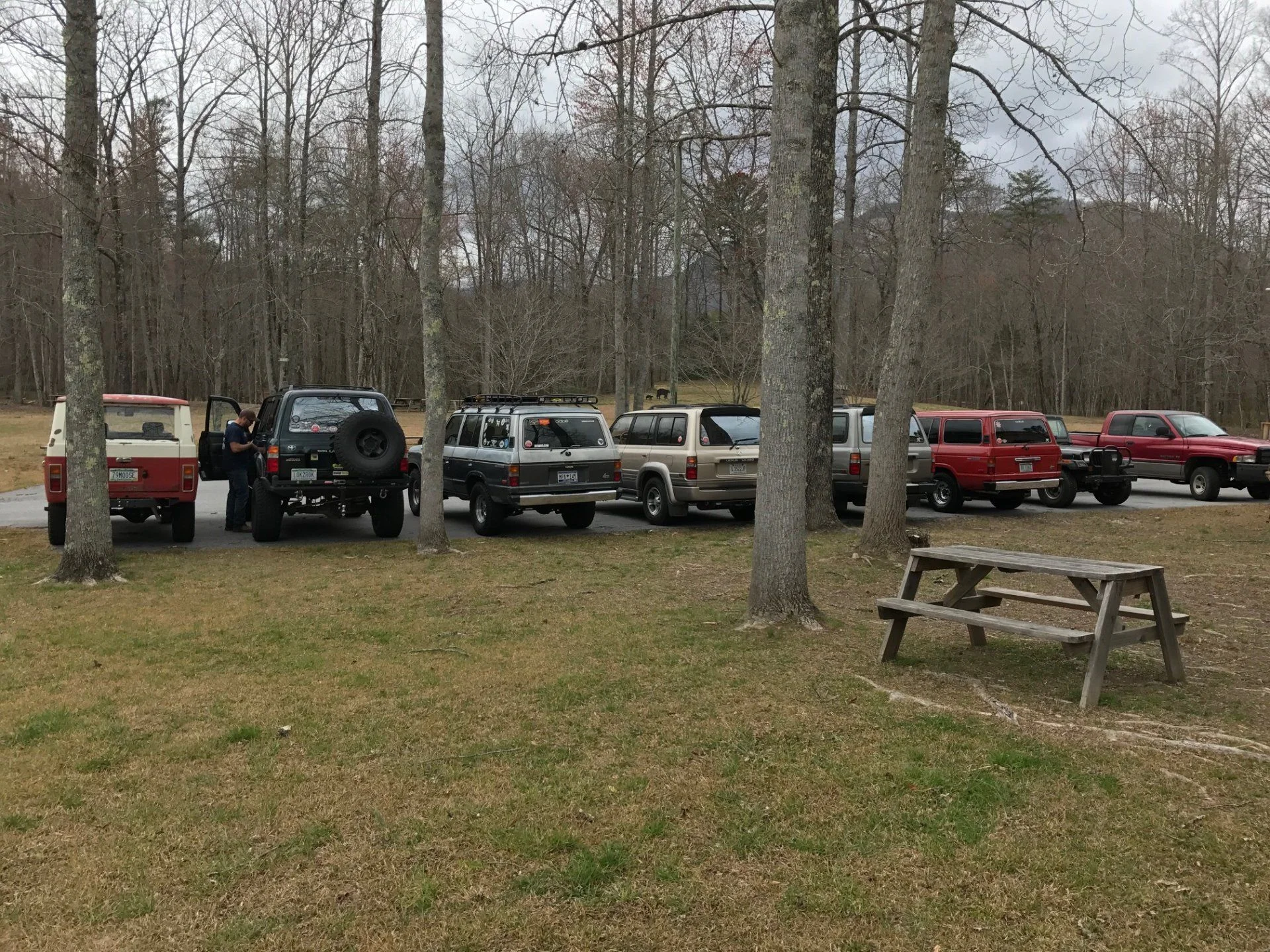 March 17 Trash pickup 1.webp