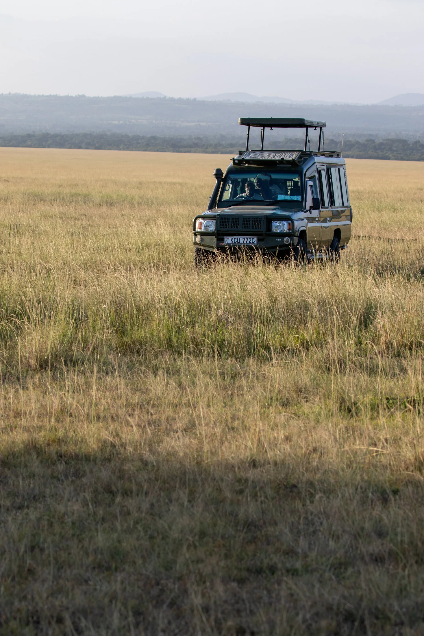 Masai Mara 2025-71.jpeg