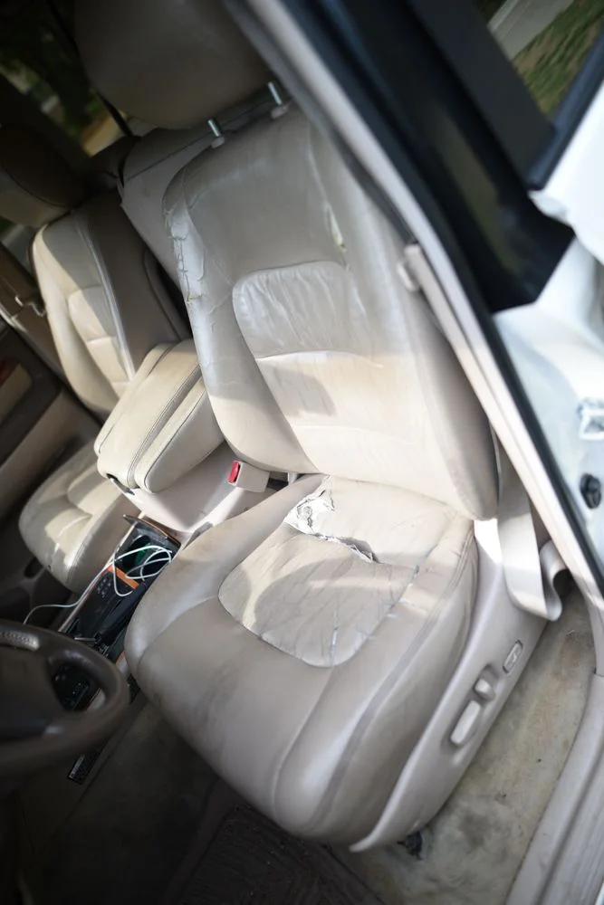MEJ_0506.webp