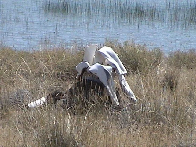 melted.webp